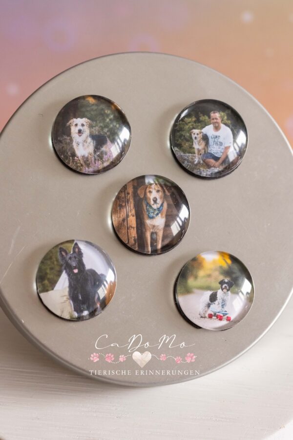 Cabochon Magnet inkl. Bild 25mm – Bild 6